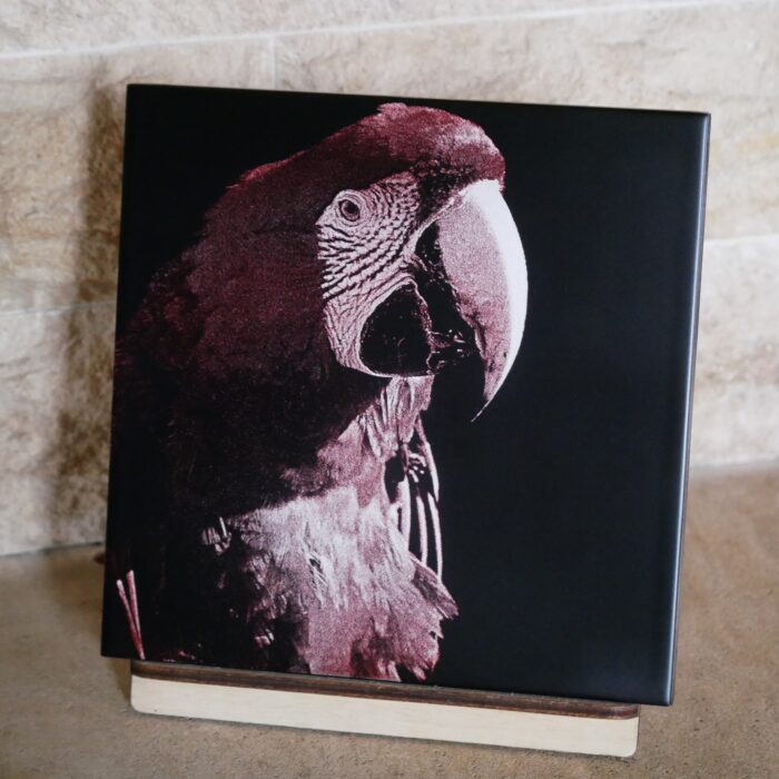 Faïence décorative gravée