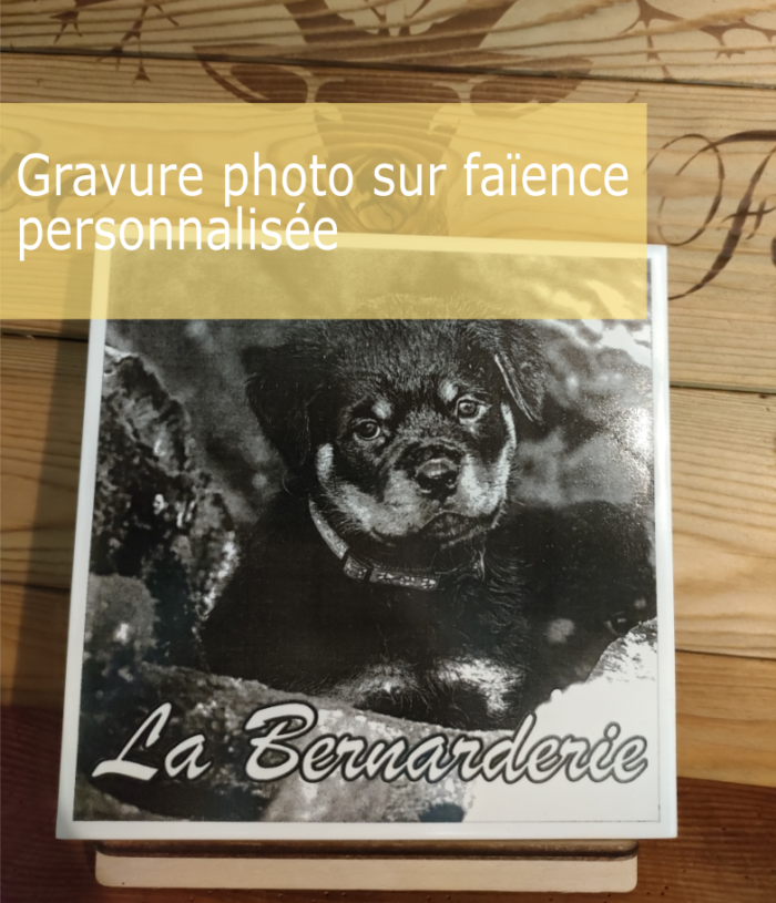 GRAVURE PHOTO SUR FAIENCE